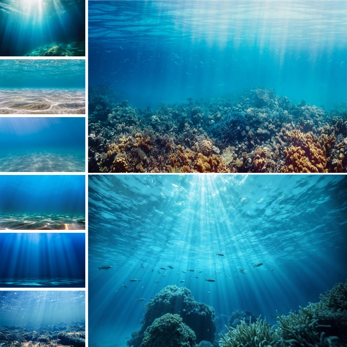 Blue Underwater World Backdrop - Photo Develop Tank 评论和价格